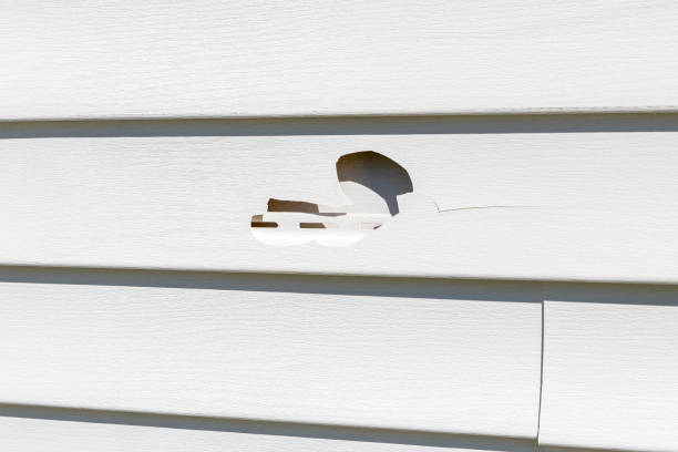 Best Shed Removal  in Crest View Heights, NY